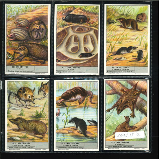Immagine di 1645 - GLI INSETTIVORI-ITALIANA