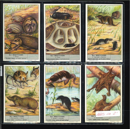 Immagine di 1645 - GLI INSETTIVORI-ITALIANA