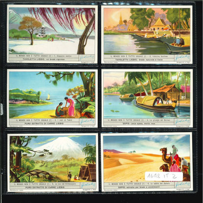 Immagine di 1649 - IL MONDO NON E' TUTTO UGUALE 1°-ITALIANA