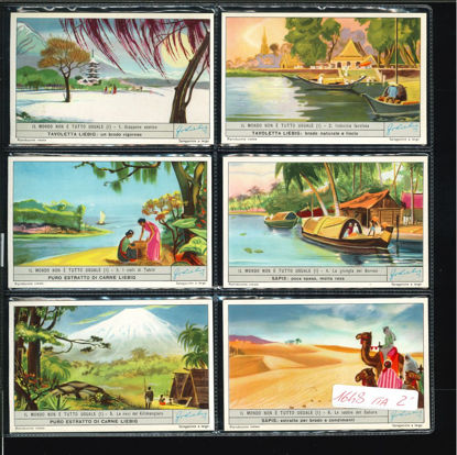 Immagine di 1649 - IL MONDO NON E' TUTTO UGUALE 1°-ITALIANA