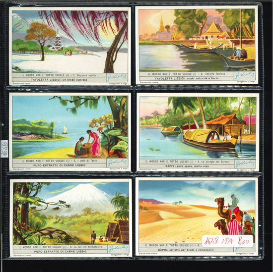 Immagine di 1649 - IL MONDO NON E' TUTTO UGUALE 1°-ITALIANA