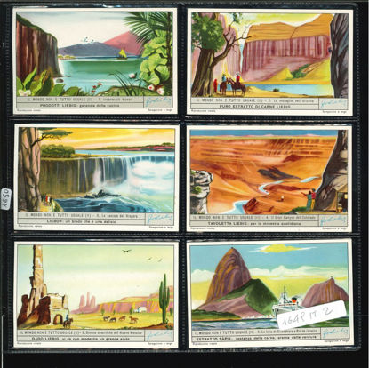 Immagine di 1650 - IL MONDO NON E' TUTTO UGUALE 2°-ITALIANA