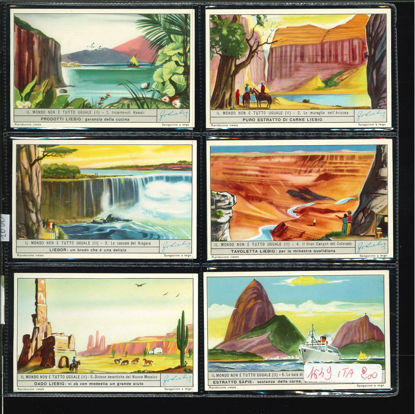 Immagine di 1650 - IL MONDO NON E' TUTTO UGUALE 2°-ITALIANA