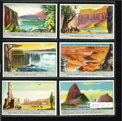 Immagine di 1650 - IL MONDO NON E' TUTTO UGUALE 2°-ITALIANA