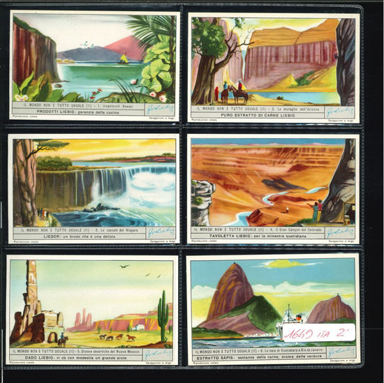 Immagine di 1650 - IL MONDO NON E' TUTTO UGUALE 2°-ITALIANA