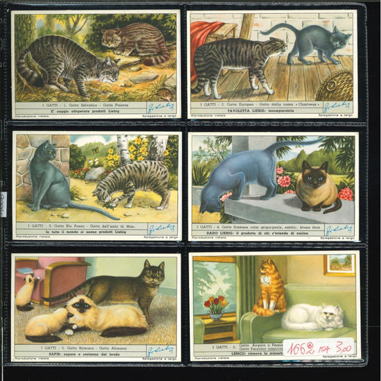Immagine di 1666 - I GATTI-ITALIANA