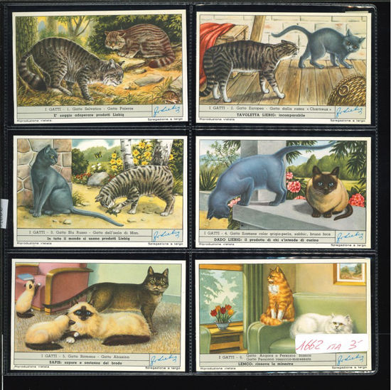 Immagine di 1666 - I GATTI-ITALIANA