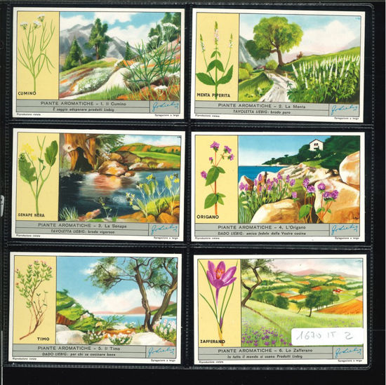 Immagine di 1671 - PIANTE AROMATICHE-ITALIANA