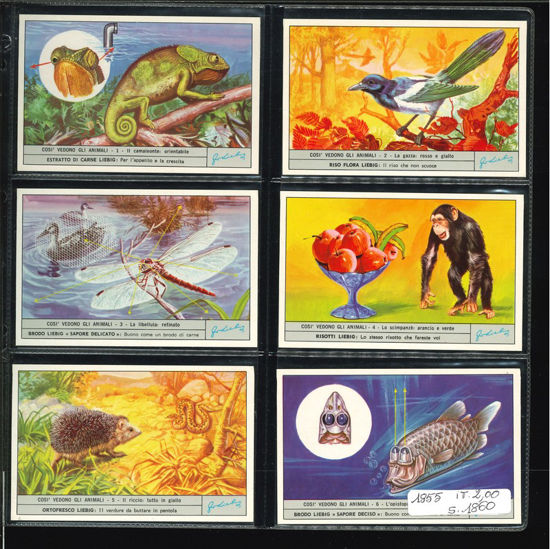 Immagine di 1860 - COSI' VEDONO GLI ANIMALI 1°-ITALIANA