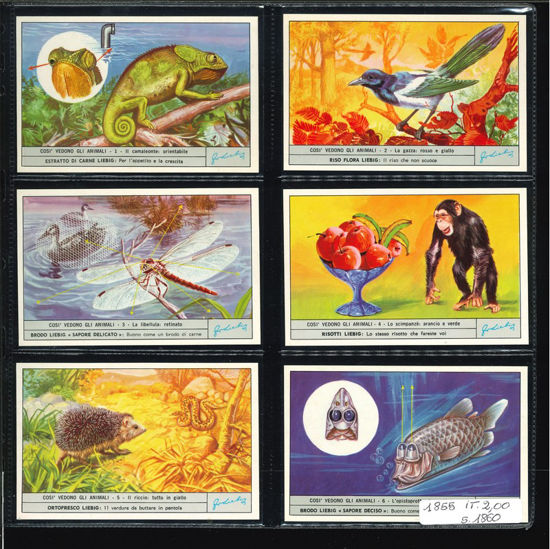 Immagine di 1860 - COSI' VEDONO GLI ANIMALI 1°-ITALIANA