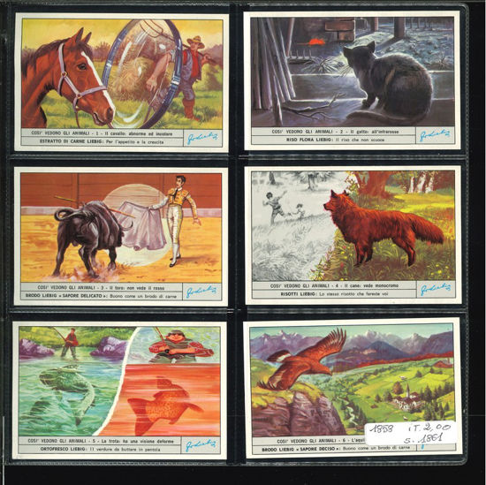 Immagine di 1861 - COSI' VEDONO GLI ANIMALI 2°-ITALIANA