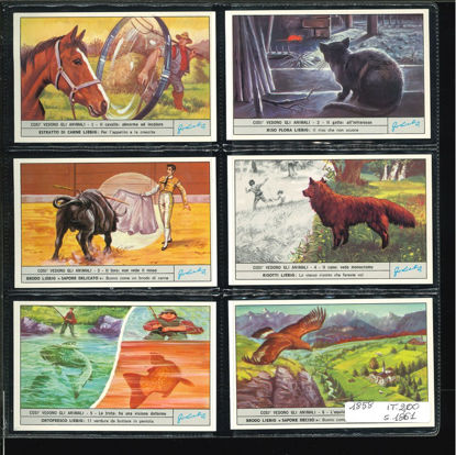 Immagine di 1861 - COSI' VEDONO GLI ANIMALI 2°-ITALIANA