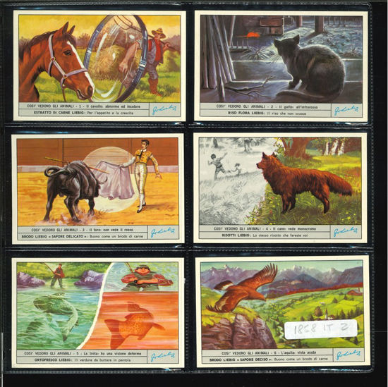 Immagine di 1861 - COSI' VEDONO GLI ANIMALI 2°-ITALIANA