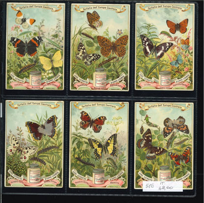 Immagine di 518 - FARFALLE DELL'EUROPA CENTRALE-ITALIANA
