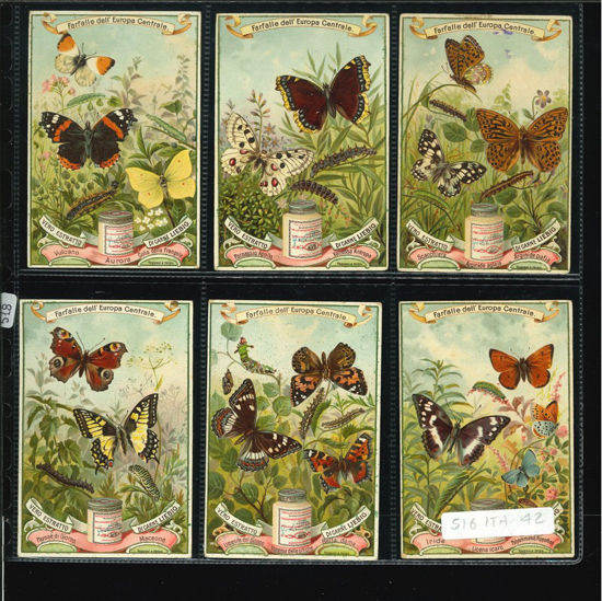 Immagine di 518 - FARFALLE DELL'EUROPA CENTRALE-ITALIANA