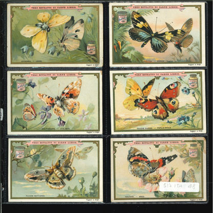 Immagine di 519 - FARFALLE GRANDI-ITALIANA