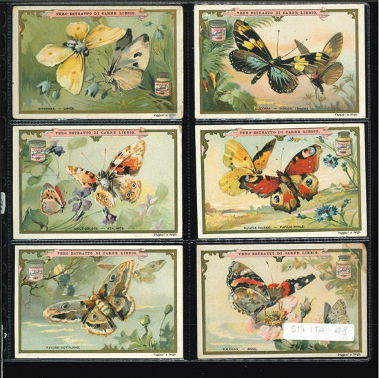 Immagine di 519 - FARFALLE GRANDI-ITALIANA