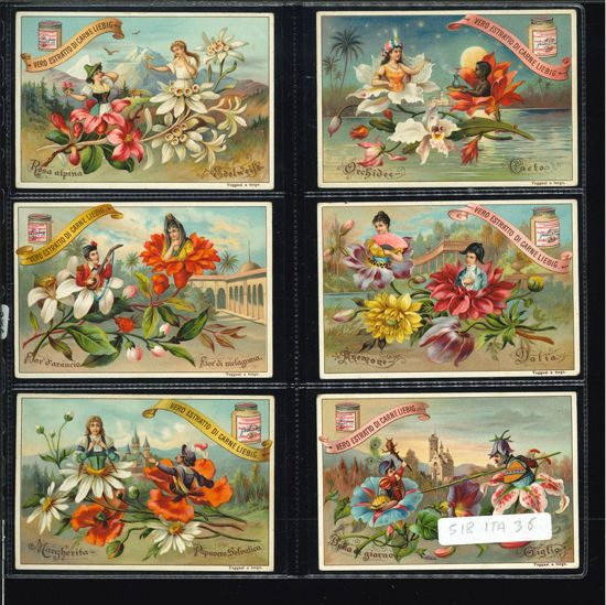 Immagine di 520 - FIORI CON FIGURE NEI PETALI-ITALIANA