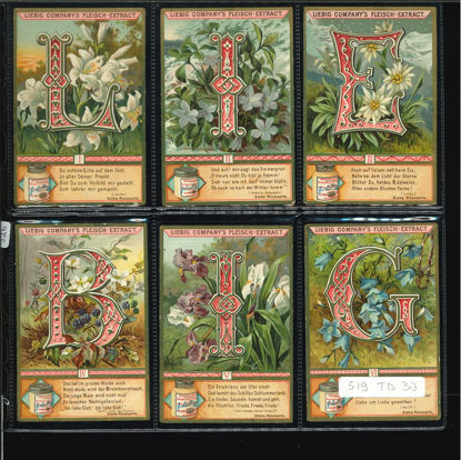 Immagine di 526 - LIEBIG CON INIZIALI DI FIORI --TEDESCA