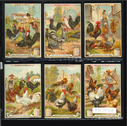 Immagine di 531 - RAZZE DI POLLI-ITALIANA