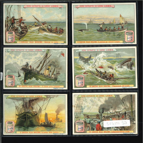 Immagine di 545 - CACCIA ALLA BALENA-ITALIANA