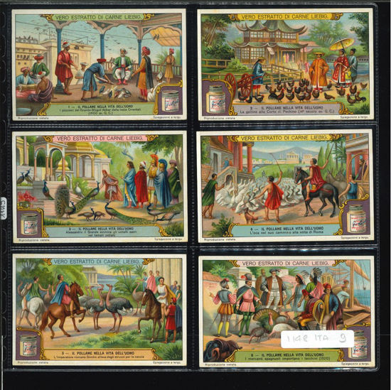 Immagine di 1149 - IL POLLAME NELLA VITA DELL'UOMO-ITALIANA