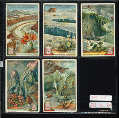 Immagine di 1193 - FORMAZIONE DEI GHIACCIAI E FLORA - manca nr. 6-ITALIANA