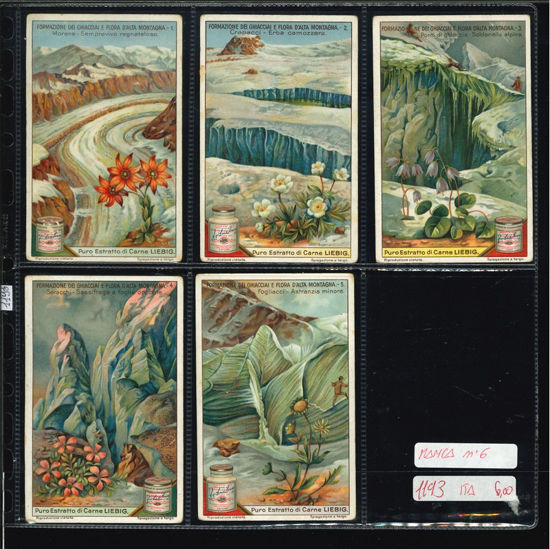 Immagine di 1193 - FORMAZIONE DEI GHIACCIAI E FLORA - manca nr. 6-ITALIANA