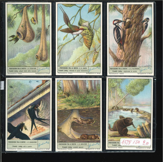 Immagine di 1519 - PROFESSIONI FRA LE BESTIE-ITALIANA