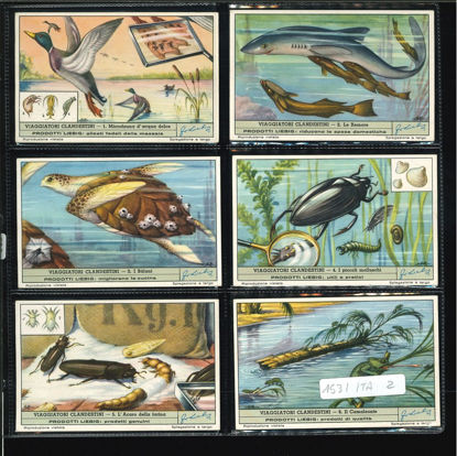 Immagine di 1529 - VIAGGIATORI CLANDESTINI-ITALIANA