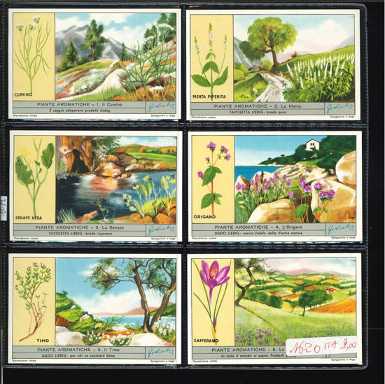Immagine di 1671 - PIANTE AROMATICHE-ITALIANA