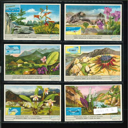 Immagine di 1672 - PIANTE POCO NOTE-ITALIANA