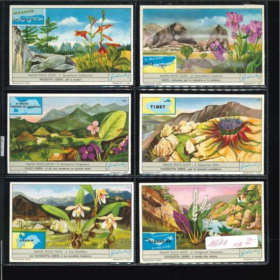 Immagine di 1672 - PIANTE POCO NOTE-ITALIANA