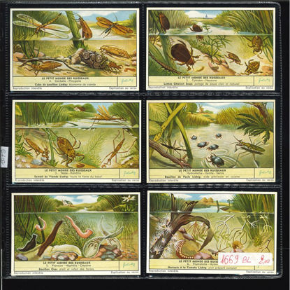 Immagine di 1673 - IL PICCOLO MONDO DEI RUSCELLI-BELGA