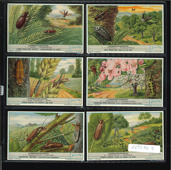 Immagine di 1689 - I PARASSITI DELL'AGRICOLTURA --BELGA