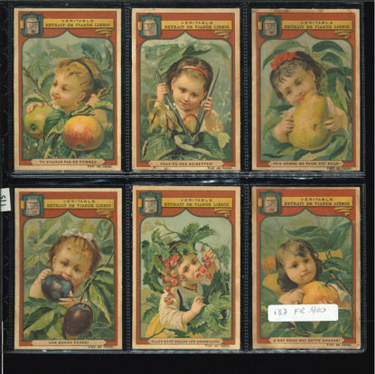 Immagine di 175 - FRUTTA E TESTE DI BAMBINI-FRANCESE