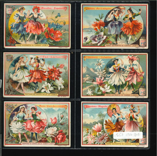 Immagine di 556 - FIORI DONNE 4°-ITALIANA