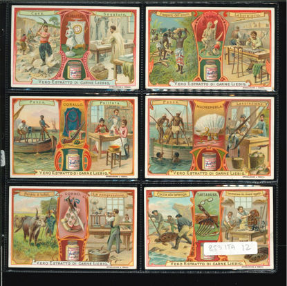 Immagine di 855 - MATERIALI DELLA NATURA 3°-ITALIANA