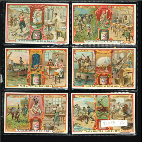 Immagine di 855 - MATERIALI DELLA NATURA 3°-ITALIANA