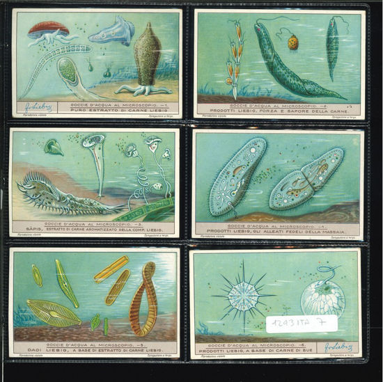 Immagine di 1244 - GOCCIE D'ACQUA AL MICROSCOPIO-ITALIANA