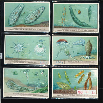 Immagine di 1244 - GOCCIE D'ACQUA AL MICROSCOPIO-ITALIANA