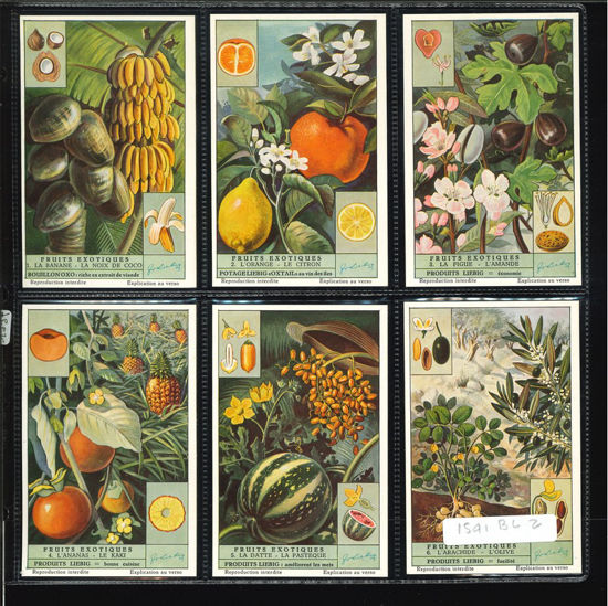 Immagine di 1537 - FRUTTI ESOTICI - Fruits exotiques-BELGA