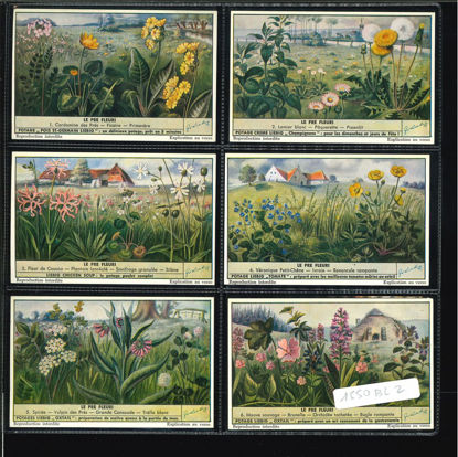 Immagine di 1544 - IL PRATO FIORITO - Le pré fleuri-BELGA