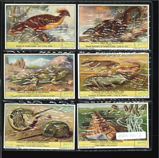 Immagine di 1705 - ANIMALI PREISTORICI VIVENTI --BELGA