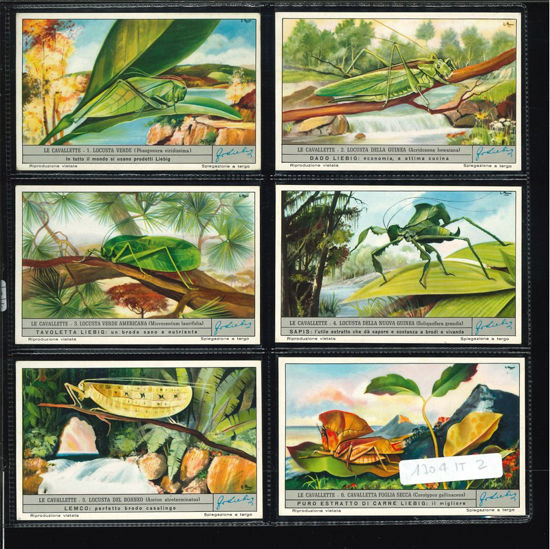 Immagine di 1707 - LE CAVALLETTE-ITALIANA