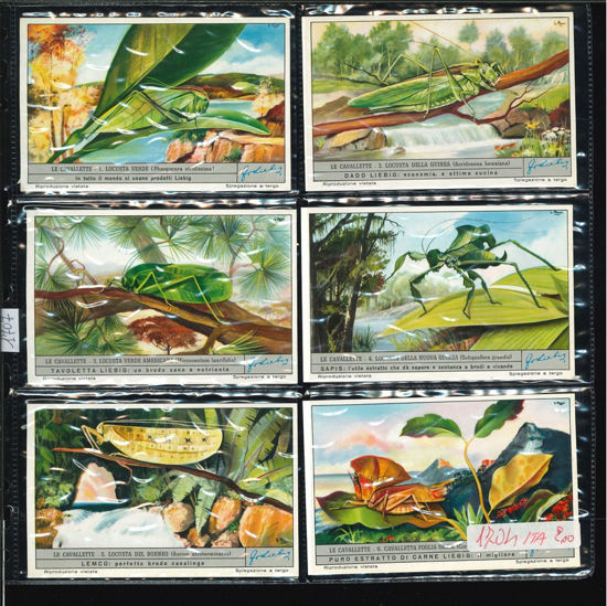 Immagine di 1707 - LE CAVALLETTE-ITALIANA