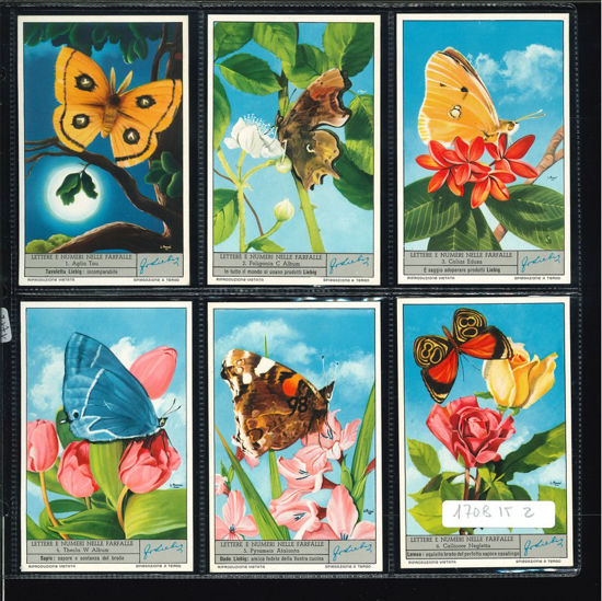 Immagine di 1711 - LETTERE E NUMERI NELLE FARFALLE 1°-ITALIANA