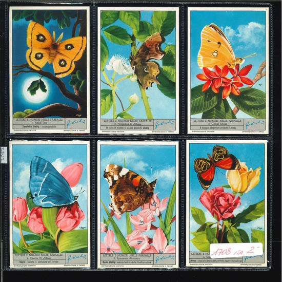 Immagine di 1711 - LETTERE E NUMERI NELLE FARFALLE 1°-ITALIANA