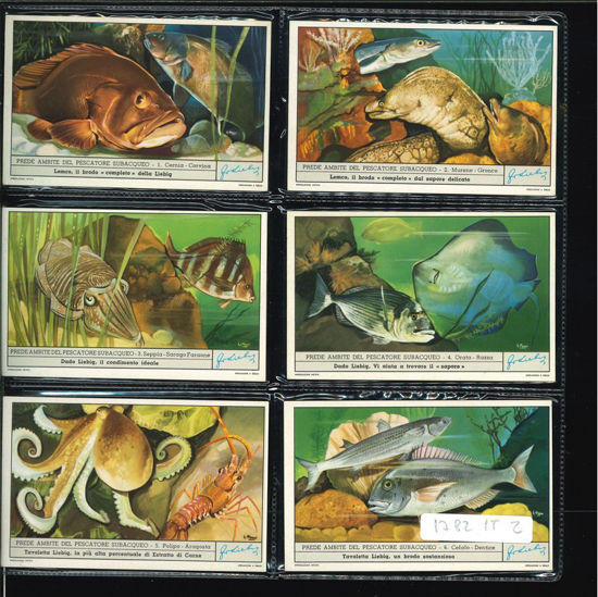 Immagine di 1785 - PREDE DEL PESCATORE SUBACQUEO-ITALIANA