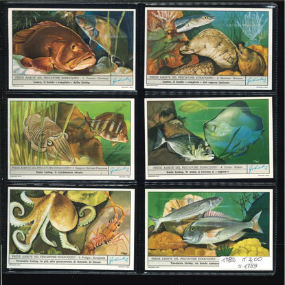 Immagine di 1785 - PREDE DEL PESCATORE SUBACQUEO-ITALIANA